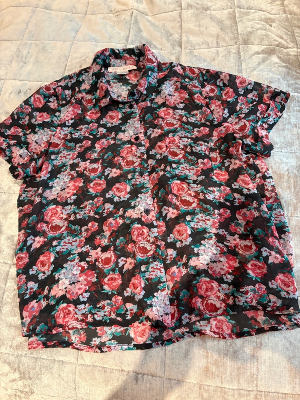 Band of Gypsies Lots of Roses Sheer Short Sleeve Blouse Top Size Small